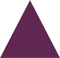purple triangle representing gaps and scaffolding